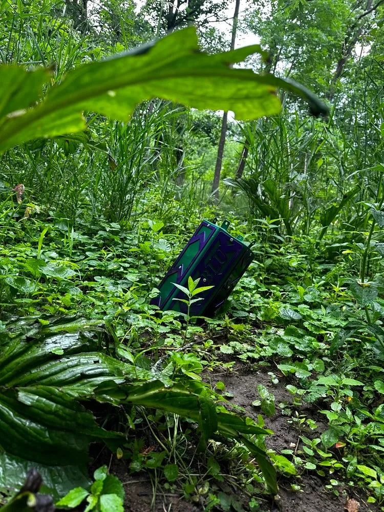Colorful metal tumbler partially buried in lush green forest undergrowth