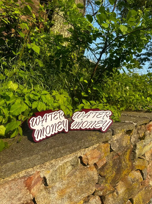 Two 'Water Money' stickers with stylized script on a stone wall surrounded by green plants outdoors