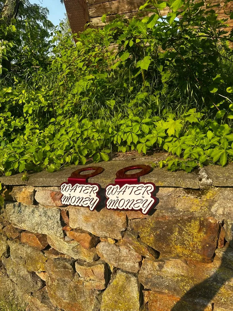 Two metal Water Money signs on a stone wall with green vines and plants outdoors